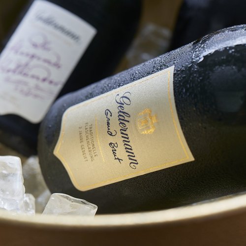 Zwei Flaschen Sekt liegen in einem Eiskübel, umgeben von großen Eiswürfeln, die für eine festliche Stimmung sorgen.