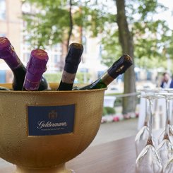 Der Sektkühler aus Gold zeigt feuchte Flaschen mit bunten Kapseln, während elegante Gläser bereitstehen, um angestoßen zu werden.