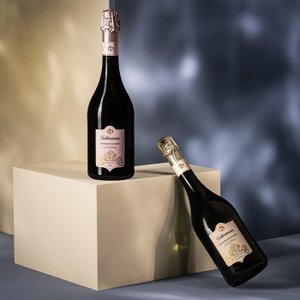 Zwei Flaschen Sekt stehen auf einem hellen Podest, eine Flasche ist leicht geneigt, während die andere aufrecht steht.