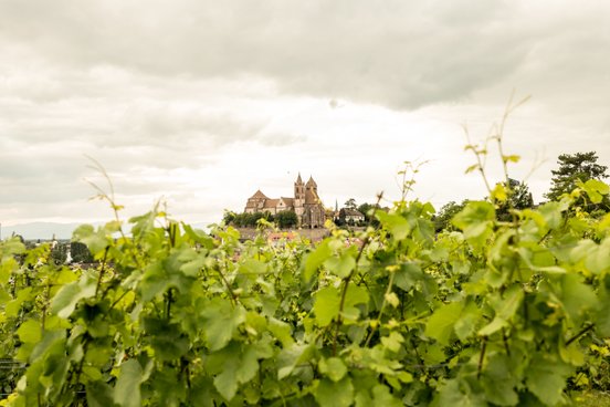 Im Vordergrund sind üppige Weinreben zu sehen, während im Hintergrund eine malerische Burg unter einem bewölkten Himmel thront.
