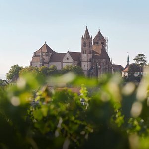 Der Breisacher Schlossberg