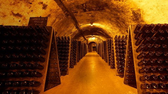 Ein langer, schmaler Weinkeller mit Regalen voller dunkler Flaschen, die in warmem, goldenem Licht beleuchtet werden.