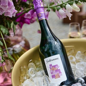 Eine Flasche der Bayreuther Festspiel Cuvée 2025 in einem Sektkühler auf Eis