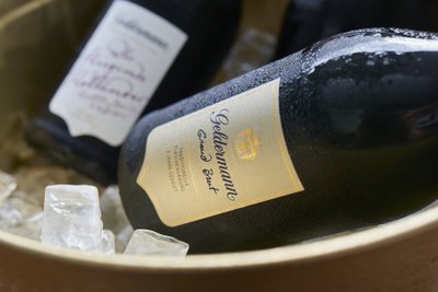 Zwei Flaschen Sekt liegen in einem Eiskübel, umgeben von großen Eiswürfeln, die für eine festliche Stimmung sorgen.