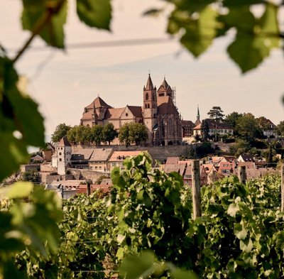 Die Szene zeigt üppige Weinreben im Vordergrund, während eine alte Kirche und malerische Häuser im Hintergrund stehen.