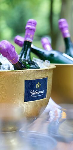 Mehrere Flaschen der Bayreuther Festspiel Cuvée 2025 in zwei Sektkühlern