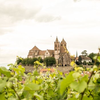 Im Vordergrund sind üppige Weinreben zu sehen, während im Hintergrund eine malerische Burg unter einem bewölkten Himmel thront.