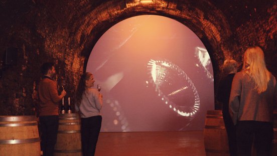 Eine Gruppe von Personen genießt einen Abend im Keller, umgeben von Holzfässern und einem beeindruckenden Projektorbild.
