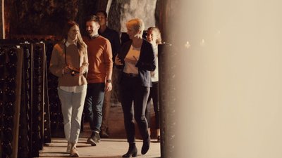 Im Weinkeller unterhalten sich vier Personen lebhaft, während eine Frau mit einer Kamera in der Hand lächelt.