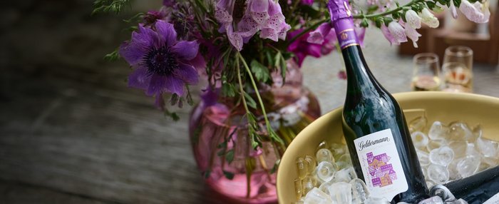 Eine Flasche der Geldermann Bayreuther Festspiel Cuvée 2025 auf Eis in einem Sektkühler