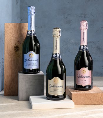Die Flaschen Geldermann Sekt in Blau, Gold und Rosa sind elegant angeordnet und heben sich vor einer hellen, strukturierten Wand ab.