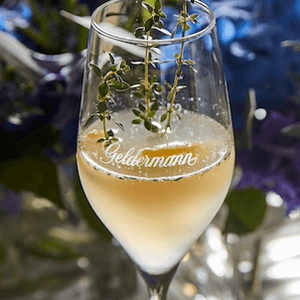 Das Glas mit dem sprudelnden Getränk zeigt den Schriftzug 'Geldermann' und wird von zarten Kräutern geschmückt.