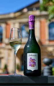 Eine Flasche und ein Glas mit der Bayreuther Festspiel Cuvée 2025 vor der Kulisse des Festpielhauses