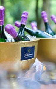 Mehrere Flaschen der Bayreuther Festspiel Cuvée 2025 in zwei Sektkühlern