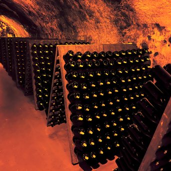 In einem dunklen Weinkeller stehen mehrere Holzregale mit zahlreichen Flaschen, die in einem warmen Lichtschein leuchten.